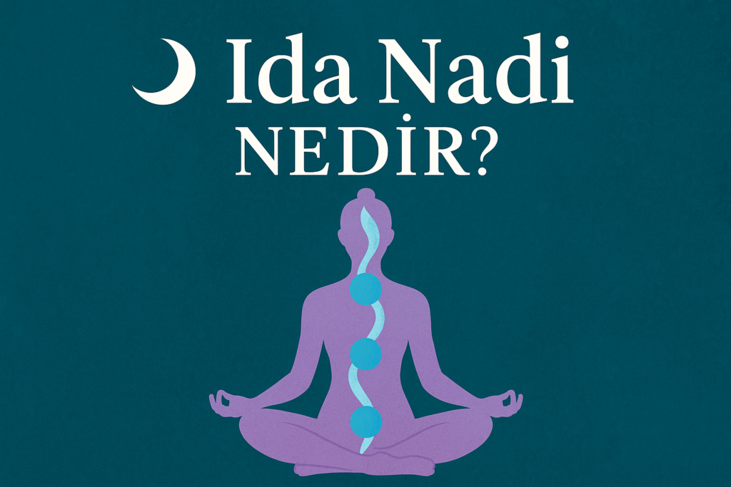 ida nadi nedir