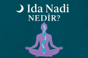 ida nadi nedir