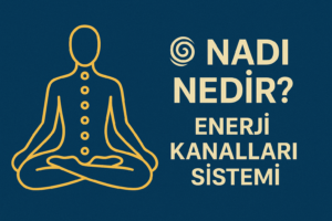 nadi nedir