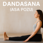 dandasana asa pozu