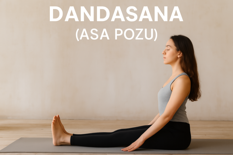 dandasana asa pozu