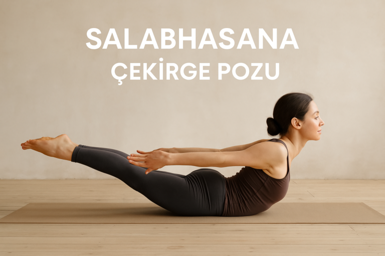 Salabhasana Çekirge Pozu