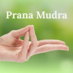 PRANA MUDRA