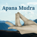 apana mudra